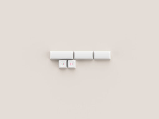 AKKO Keycap set – Prunus Lannesiana (PBT Double-Shot/ASA Low profile/155 nút)