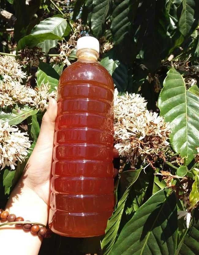 Mật Ong Nguyên Chất ĐăkLak Chai 1L