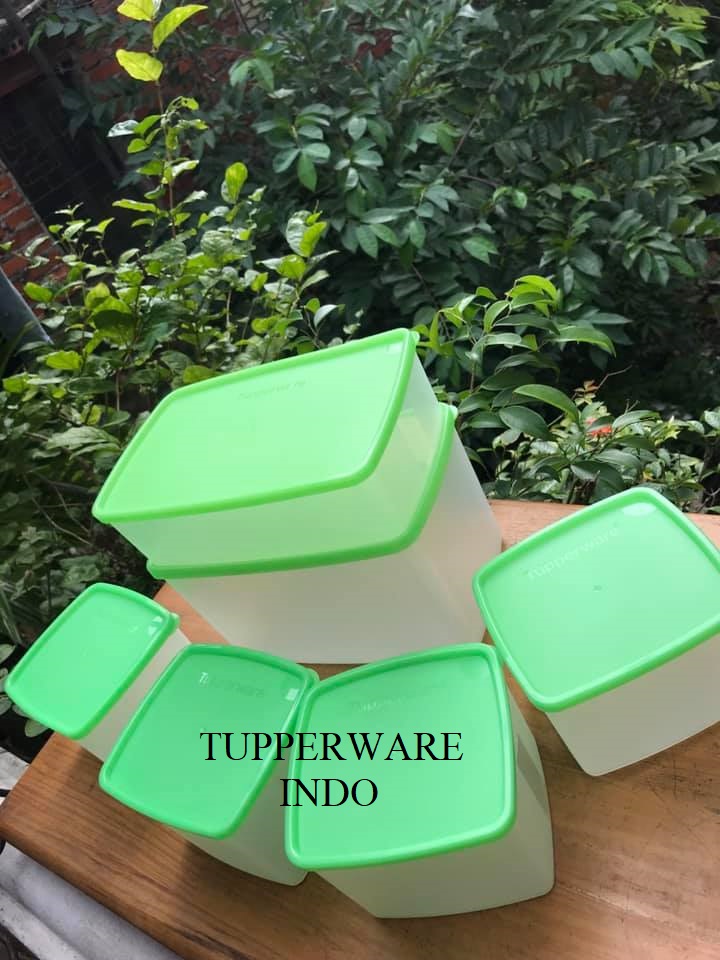 SET 6 HỘP TUPPERWARE INDO TRỮ ĐÔNG