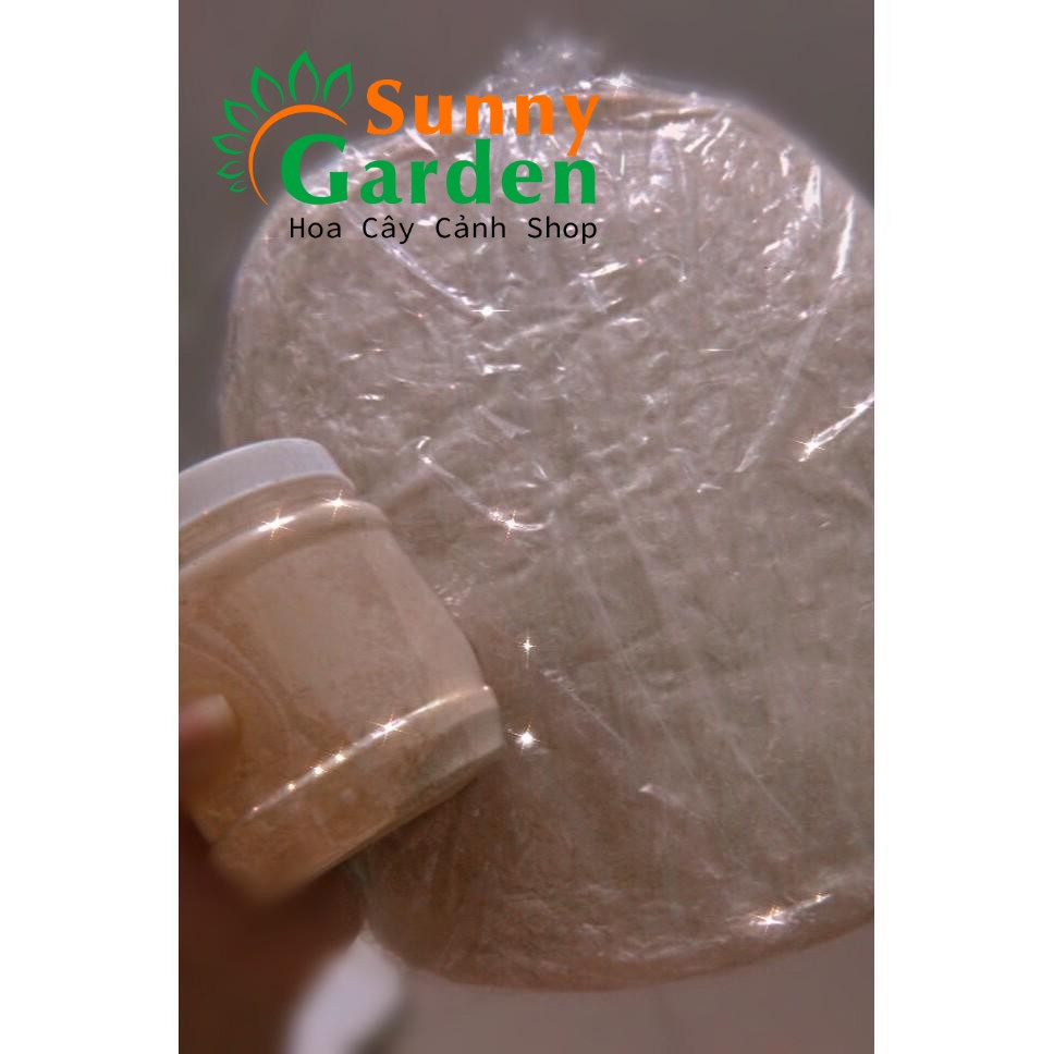 Combo Bánh Tráng Phơi Sương 500 Gram + Muối Nhuyễn 200 Gram - Đặc Sản Tây Ninh