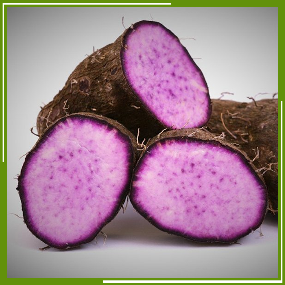 HCM - Khoai mỡ (400 - 600 g) - [Giao nhanh TPHCM]