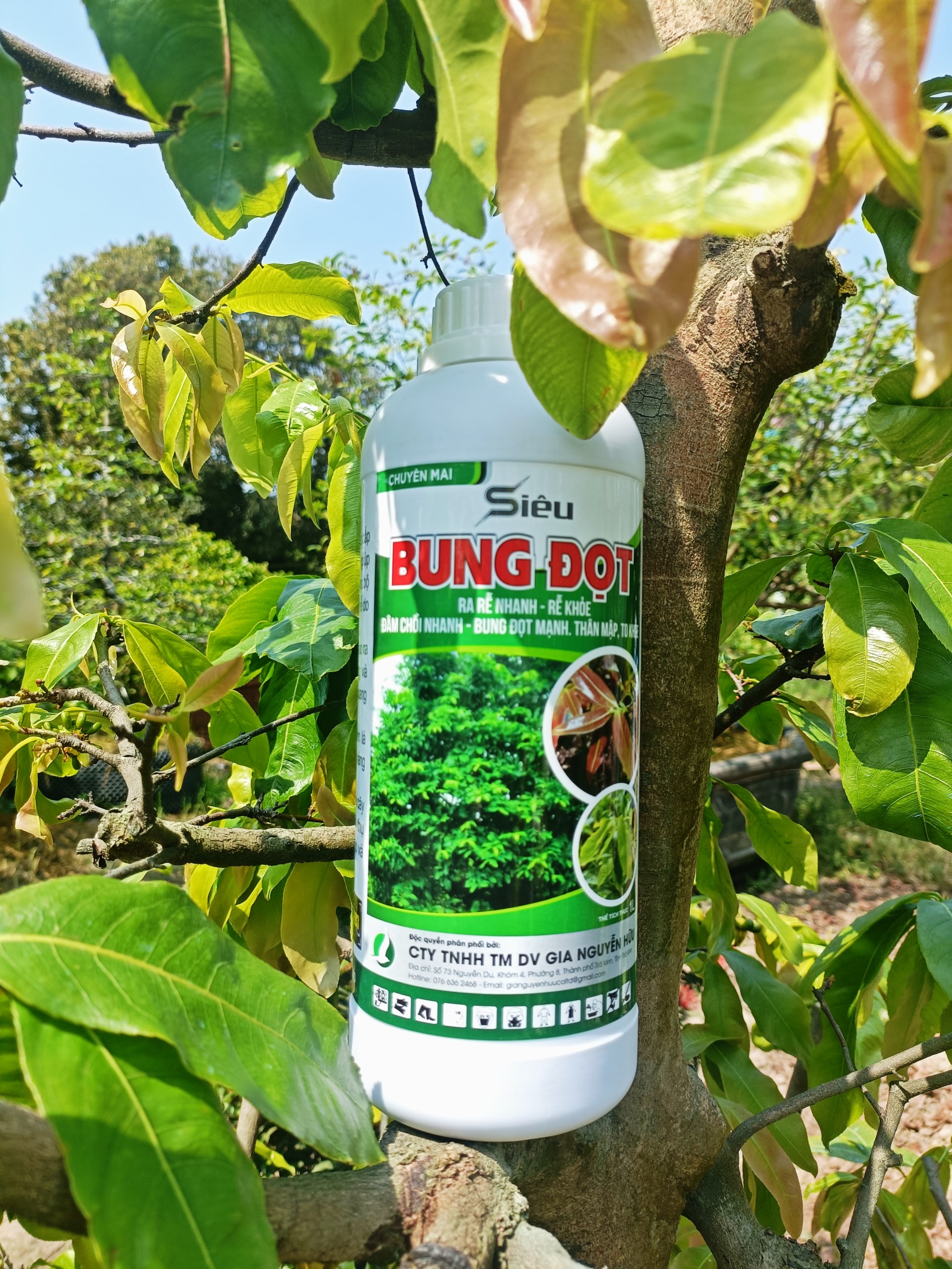 Phân bón lá siêu bung đọt chai 1 lít, bung đọt mạnh, rễ khoẻ, cứng cây xanh lá