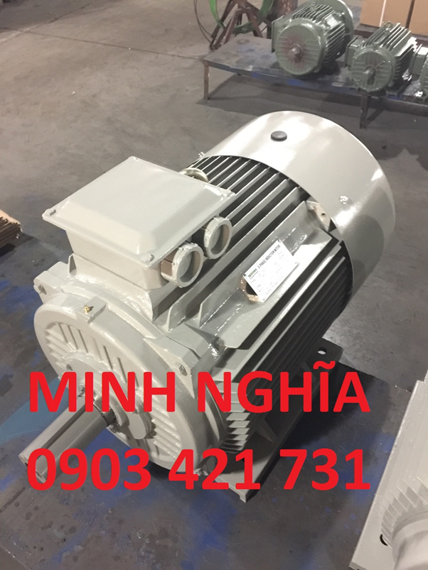 Động cơ điện model JLF 45KW - 6