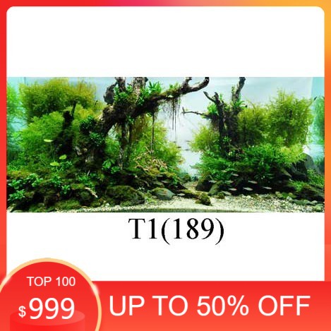 [Tặng Đồ Dán+Sticker] Tranh 3D dán bể cá cảnh hồ thuỷ sinh