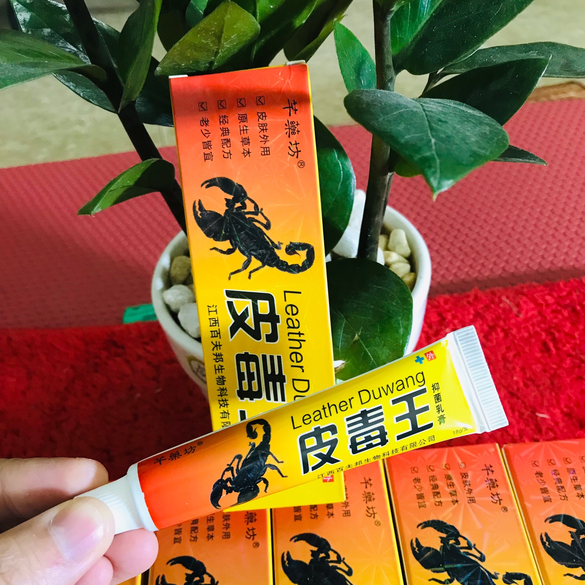 NẤM KẼ MÓNG TAY MÓNG CHÂN 100% KHỎI [ KEM BÔI DA LIỄU]
