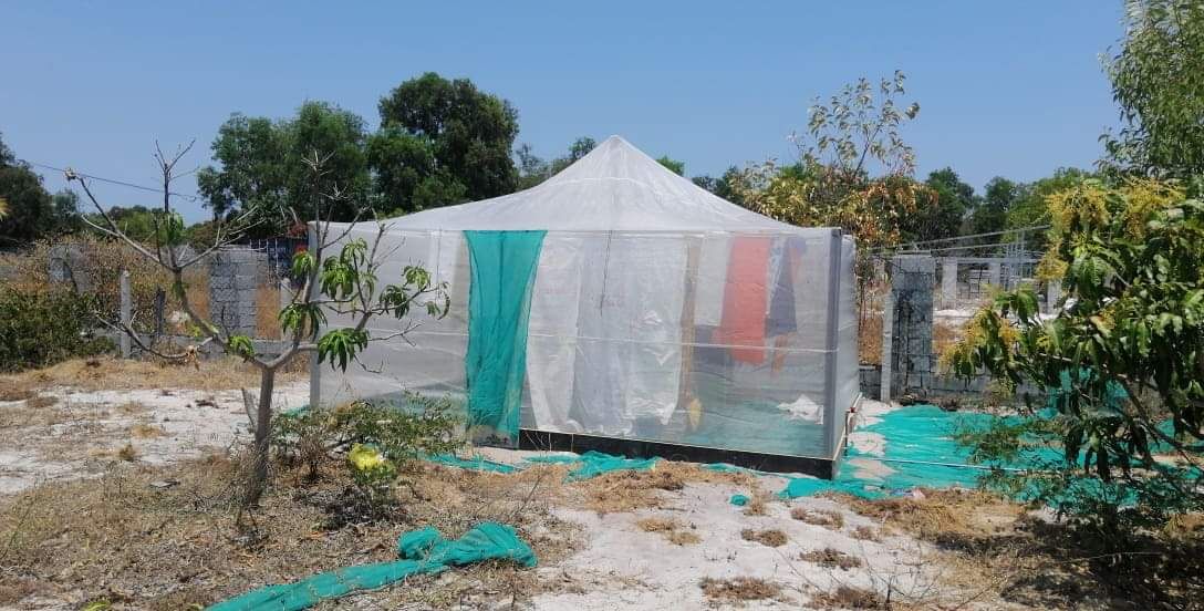 lồng nuôi cào cào , châu chấu 5x4x2
