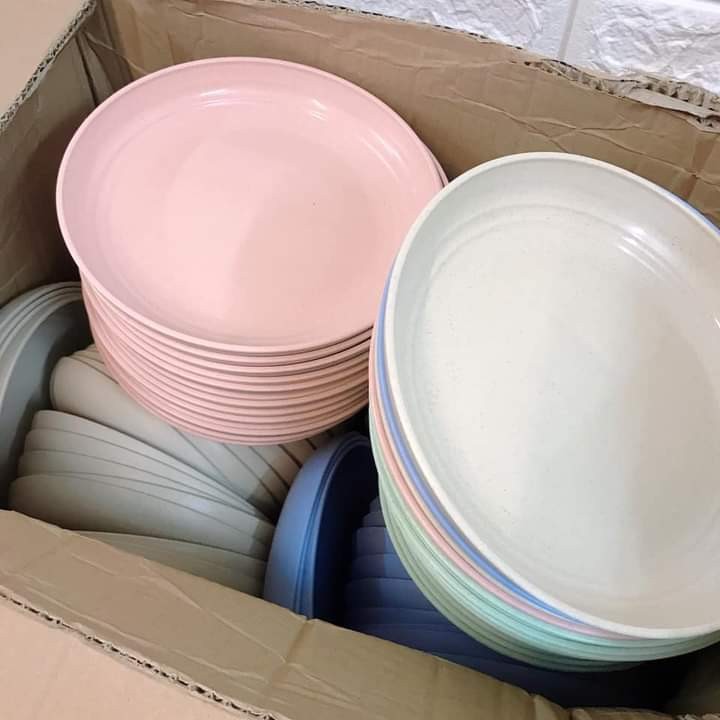 SET 6 ĐĨA LÚA MẠCH AN TOÀN GMAX, 6 MÀU KHÁC NHAU