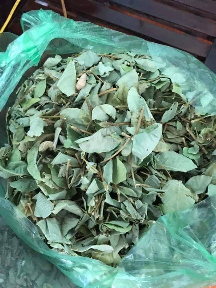 Kim Tiền Thảo khô 1kg