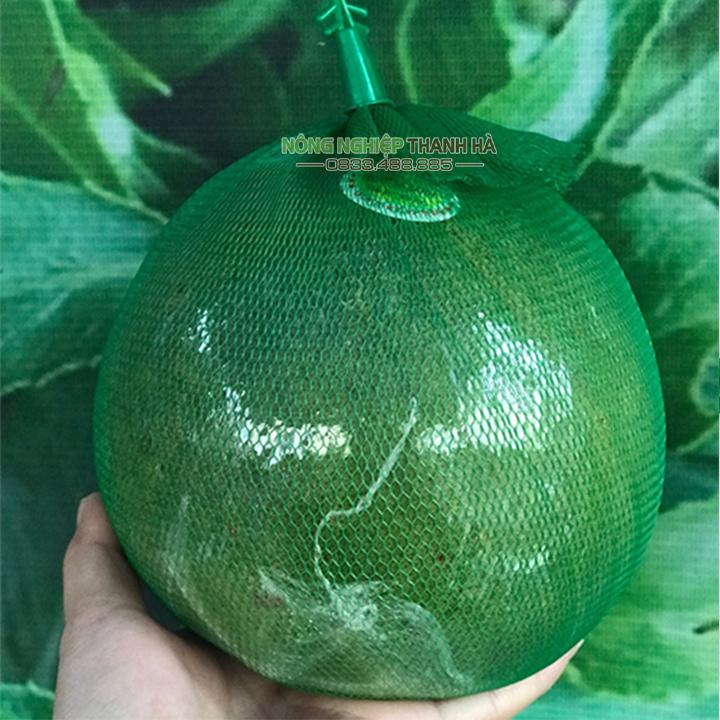 1Kg Túi lưới đựng trái cây kèm móc khóa 35cm - BLX35