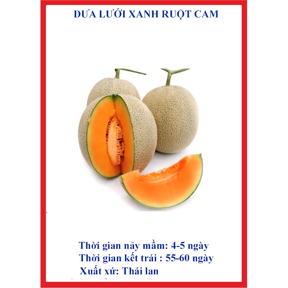 10 hạt giống dưa lưới xanh ruột cam
