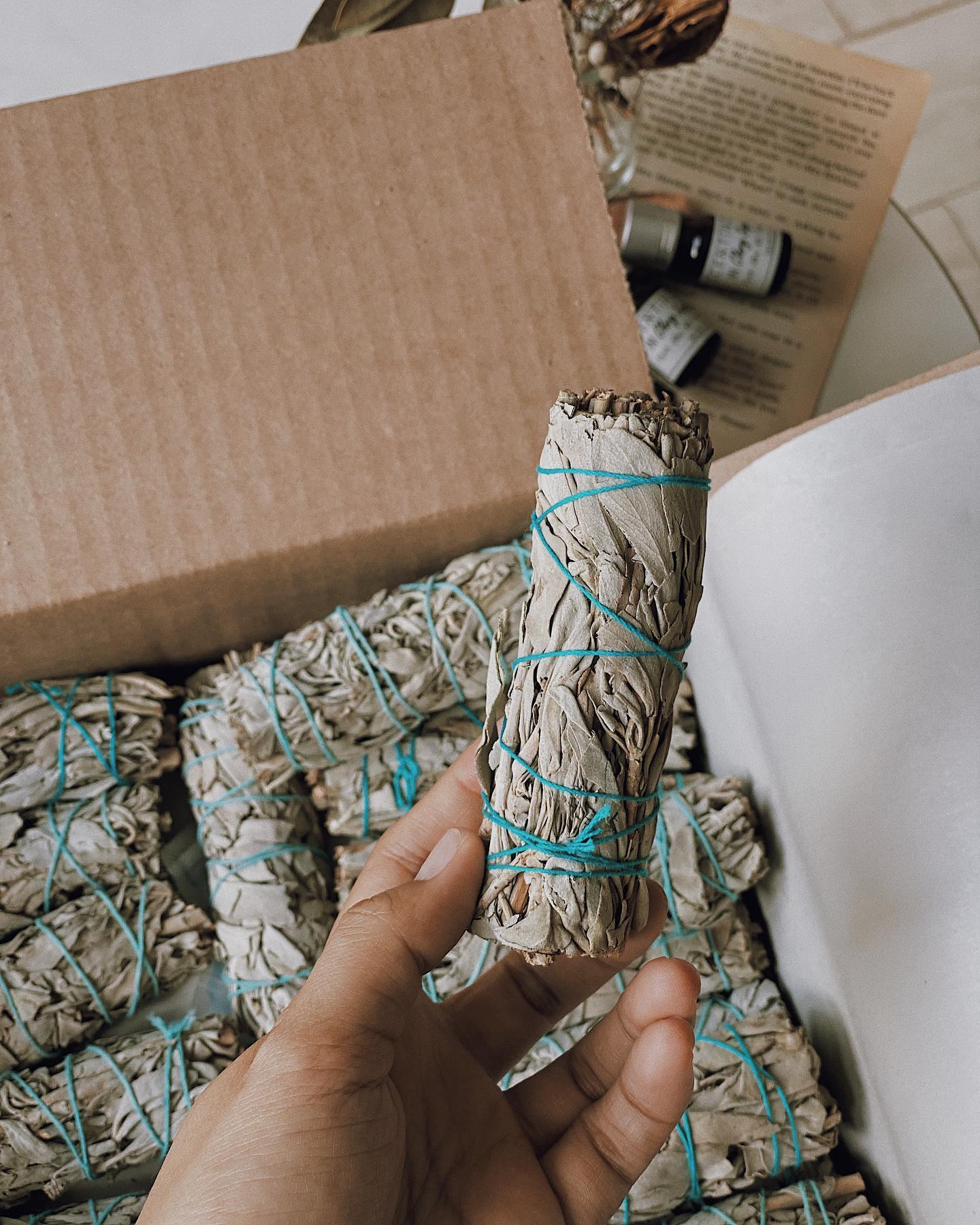 [HCM]Bó Xô Thơm Trắng (White Sage)