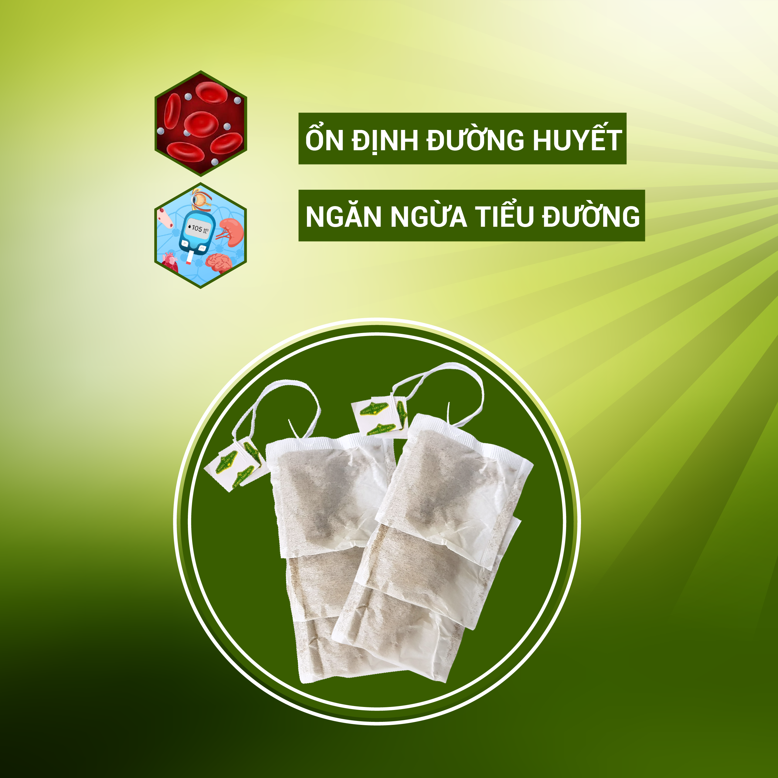 Trà Dây Thìa Canh túi lọc