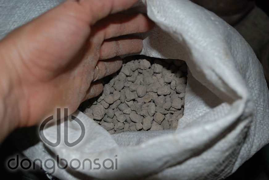 Combo 5lit Đá Pumice (đá bọt núi lửa) Indonesia