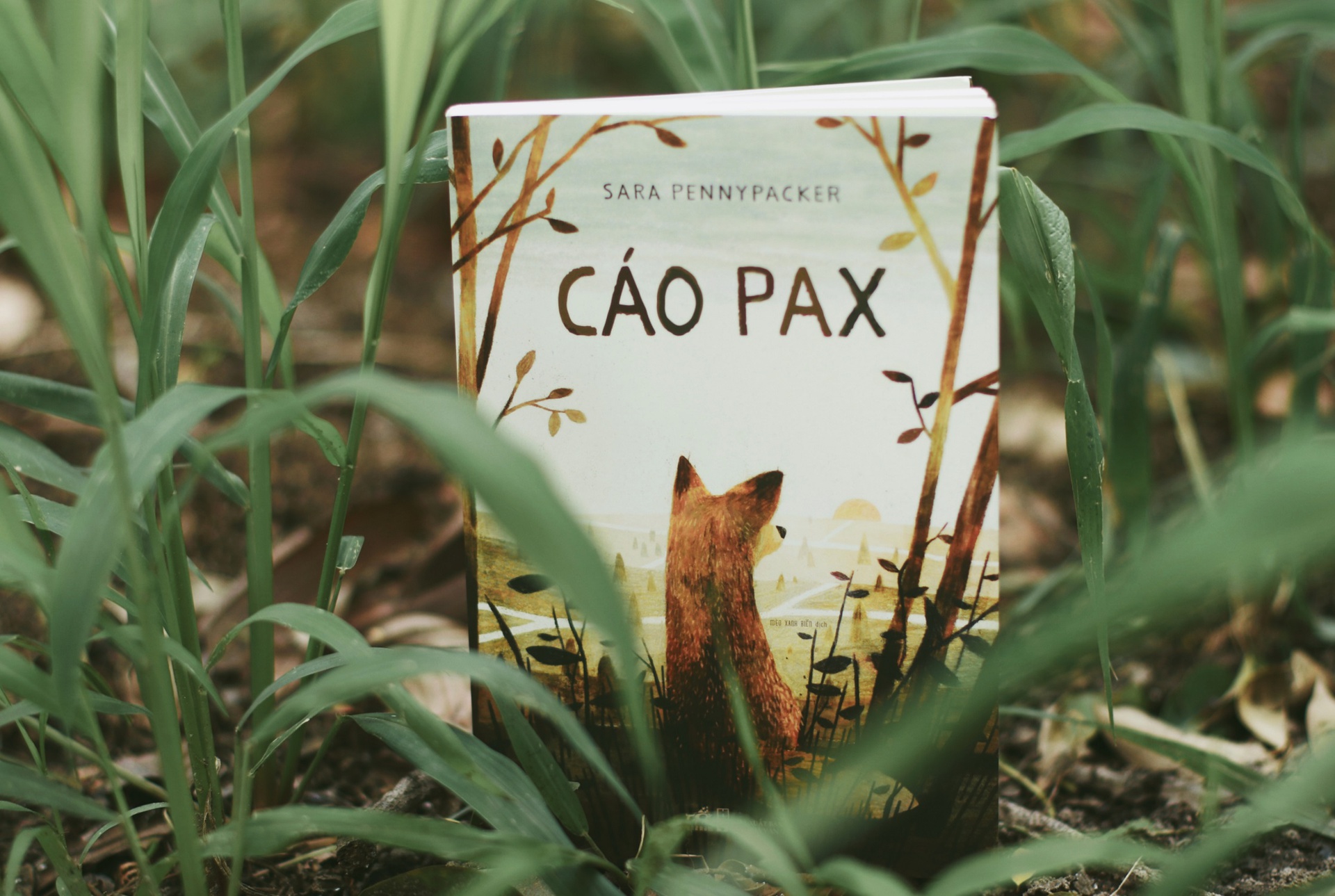 Sách - Cáo Pax (Nhã Nam HCM)