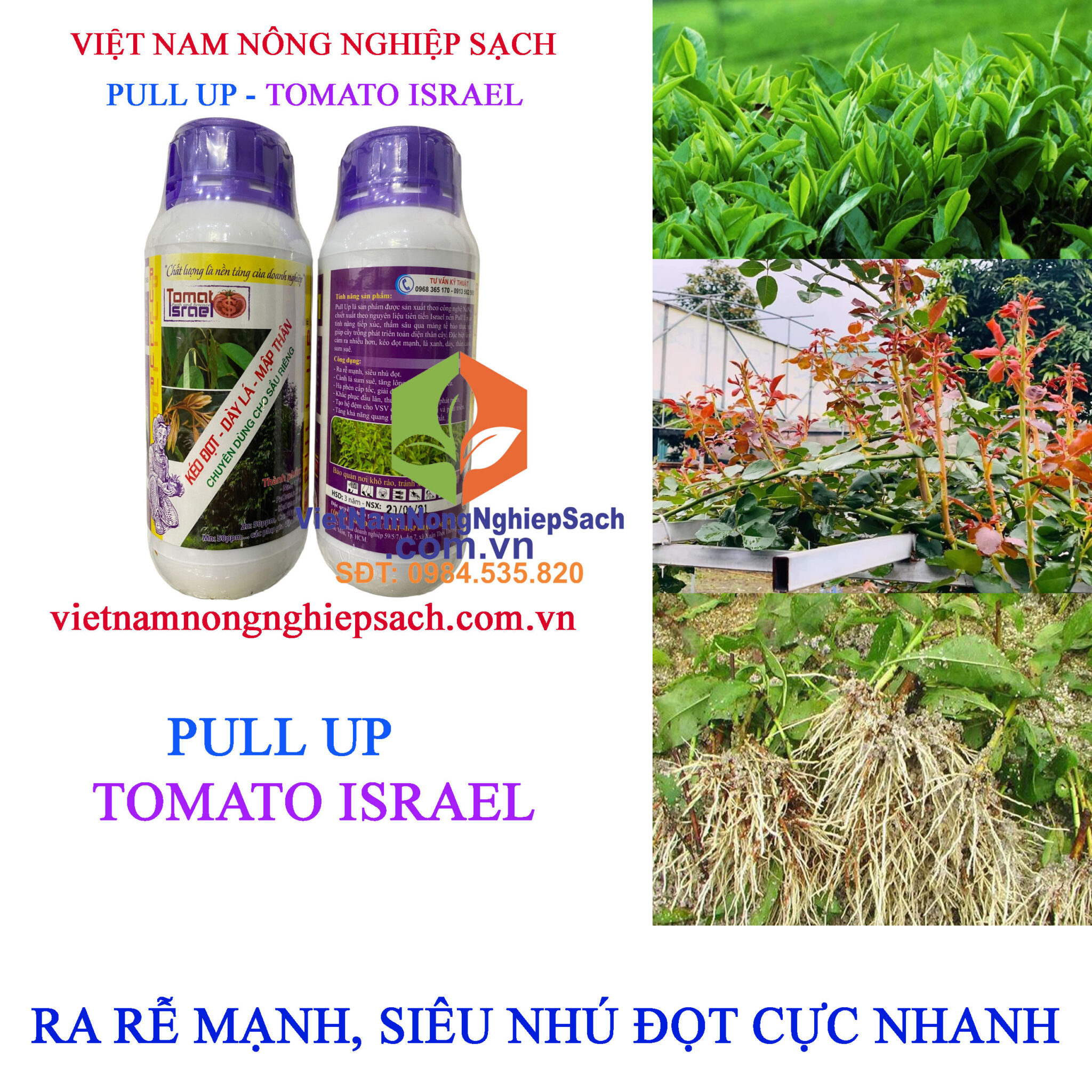 PULL UP – CTY TOMATO ISRAEL KÉO ĐỌT, DÀY LÁ, MẬP THÂN CHAI 500ML