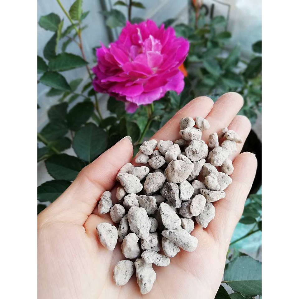 Đá bọt Pumice nhẹ, thoáng, giữ ẩm rất tốt 1kg