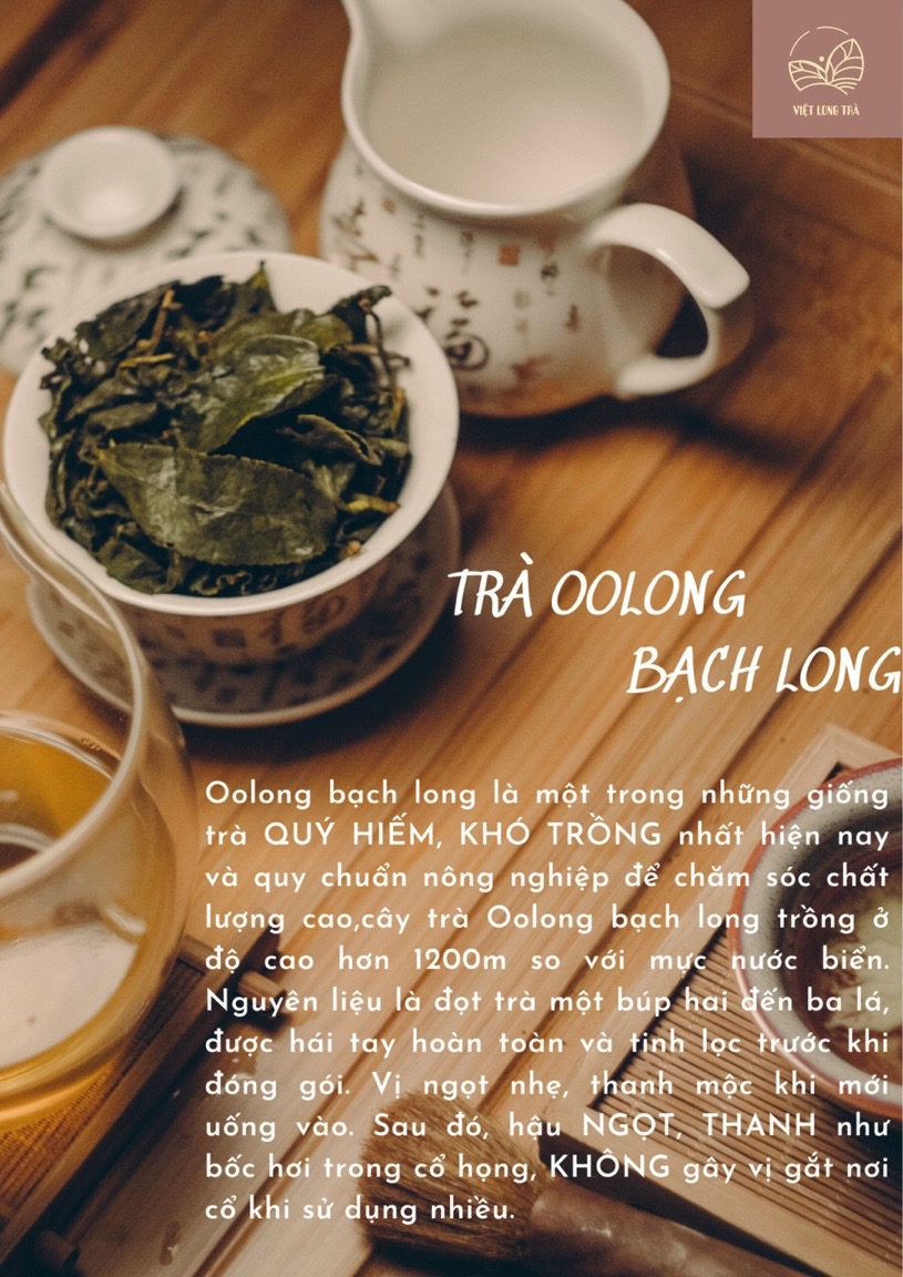 TRÀ Ô LONG BẠCH LONG - TRÀ ĐẸP DA, HỖ TRỢ GIẢM CÂN - TIÊU HOÁ TỐT - ORGANIC OOLONG TEA - 100G - VIỆT LONG TRÀ