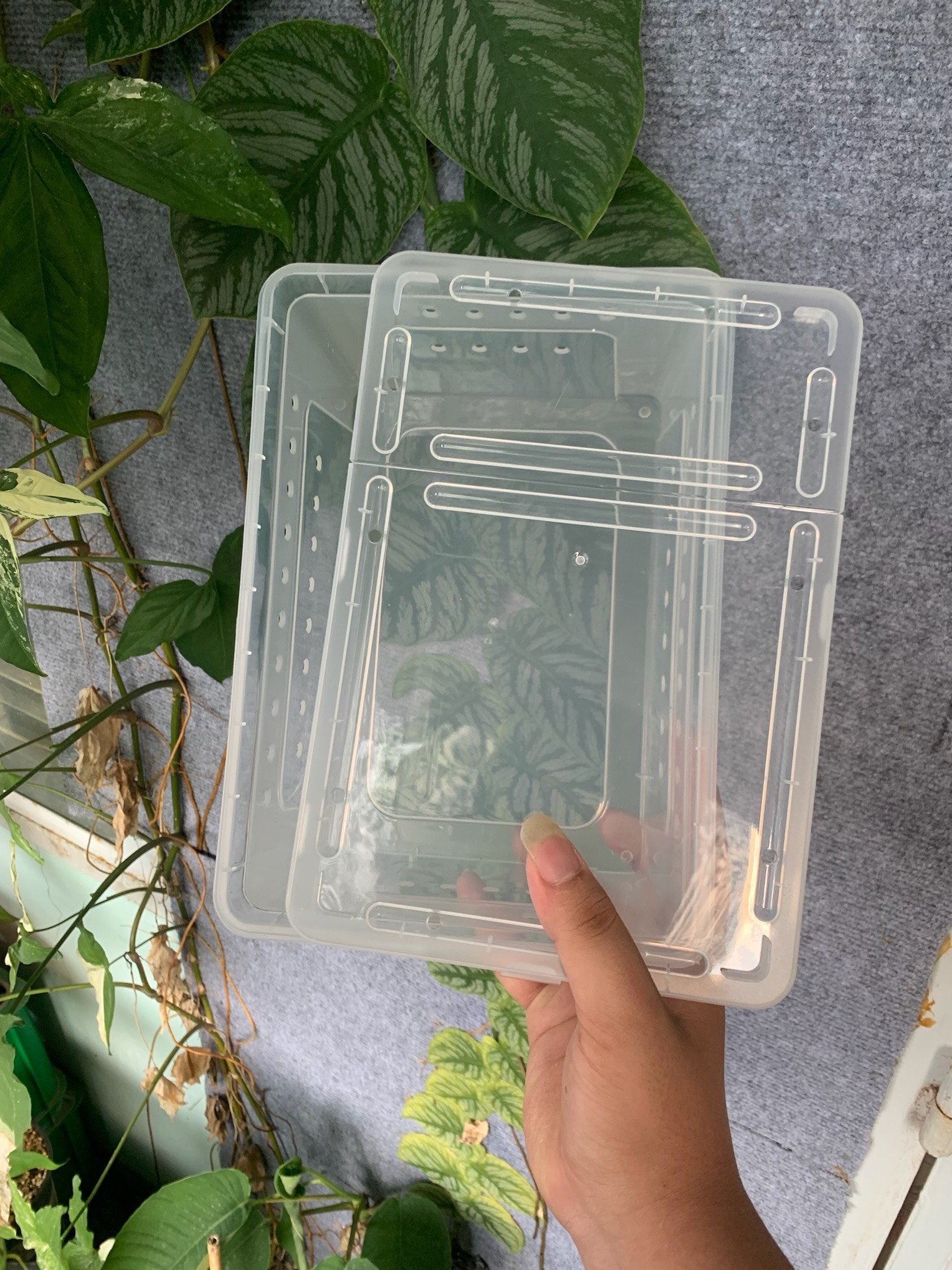 Hộp chuyên dụng nuôi bò sát pet chữ nhật size trung dành cho thú cưng GINA GARDEN
