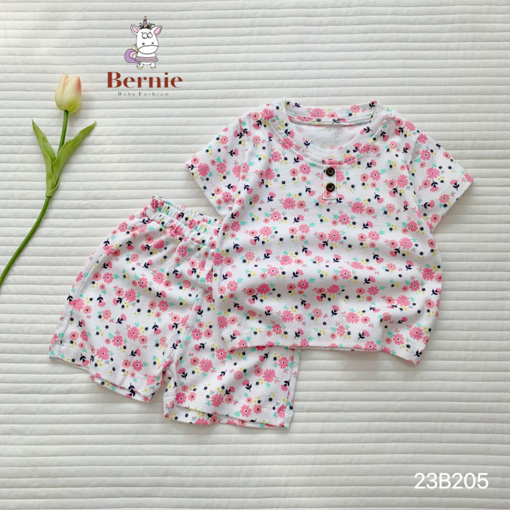 Bộ bozip cộc tay bé gái, bộ cotton bé gái hoạ tiết mềm mát Bernie