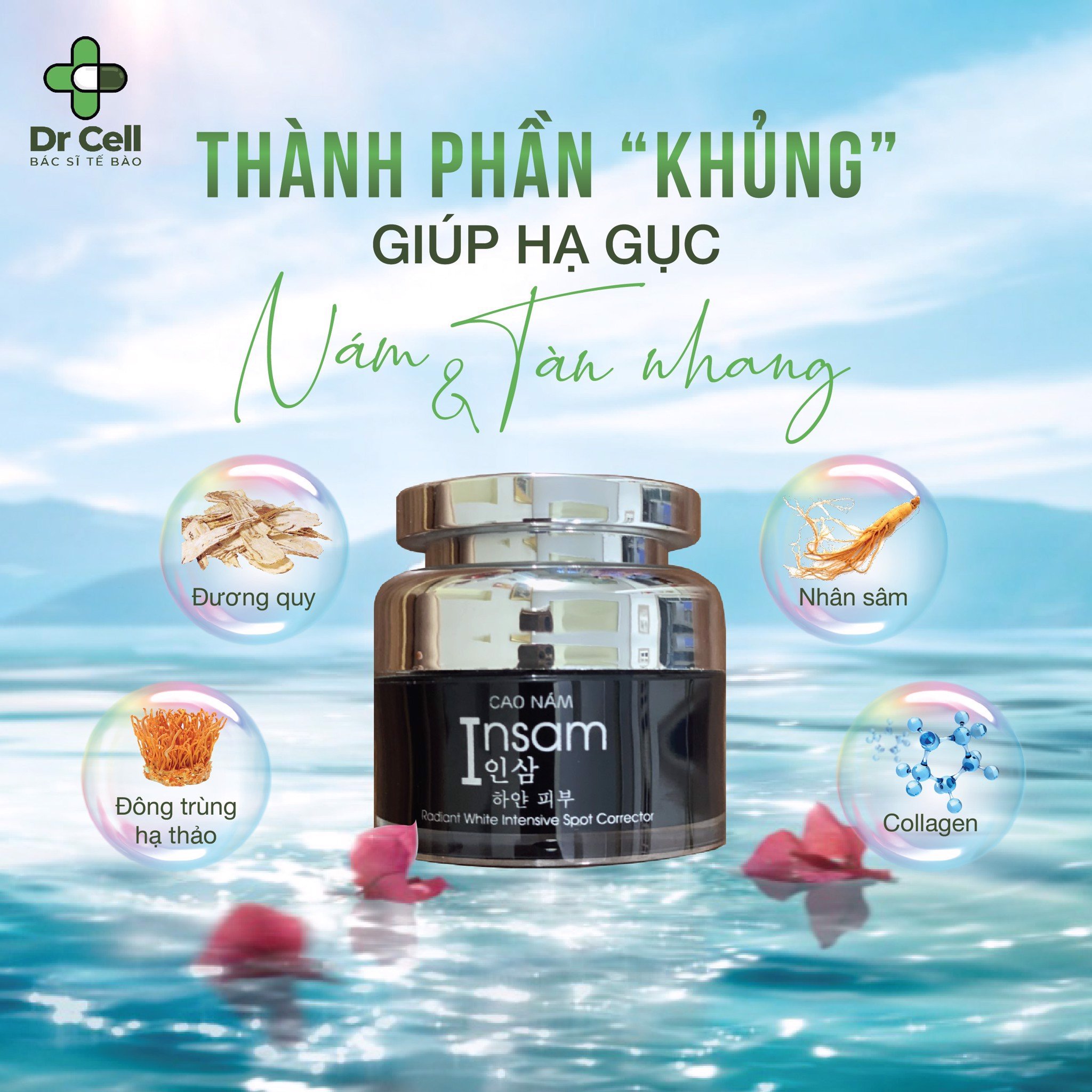 [CHÍNH HÃNG] Cao nám insam drcell