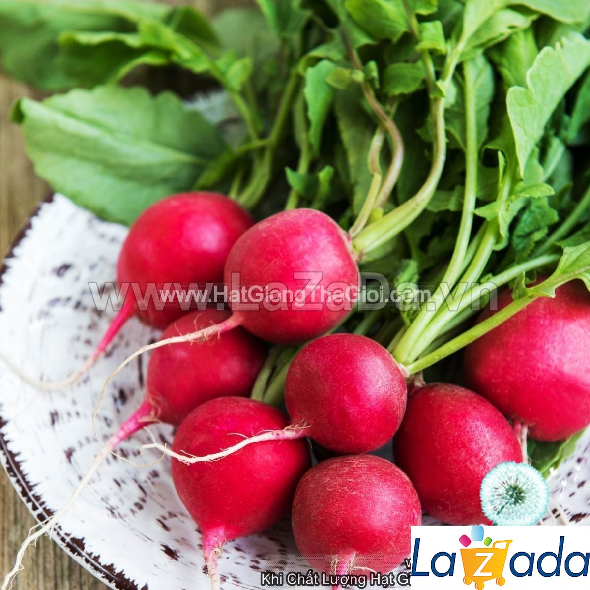 1Gr Hạt Giống Củ Cải Đỏ USA (A1.104| B31*W64*M021)