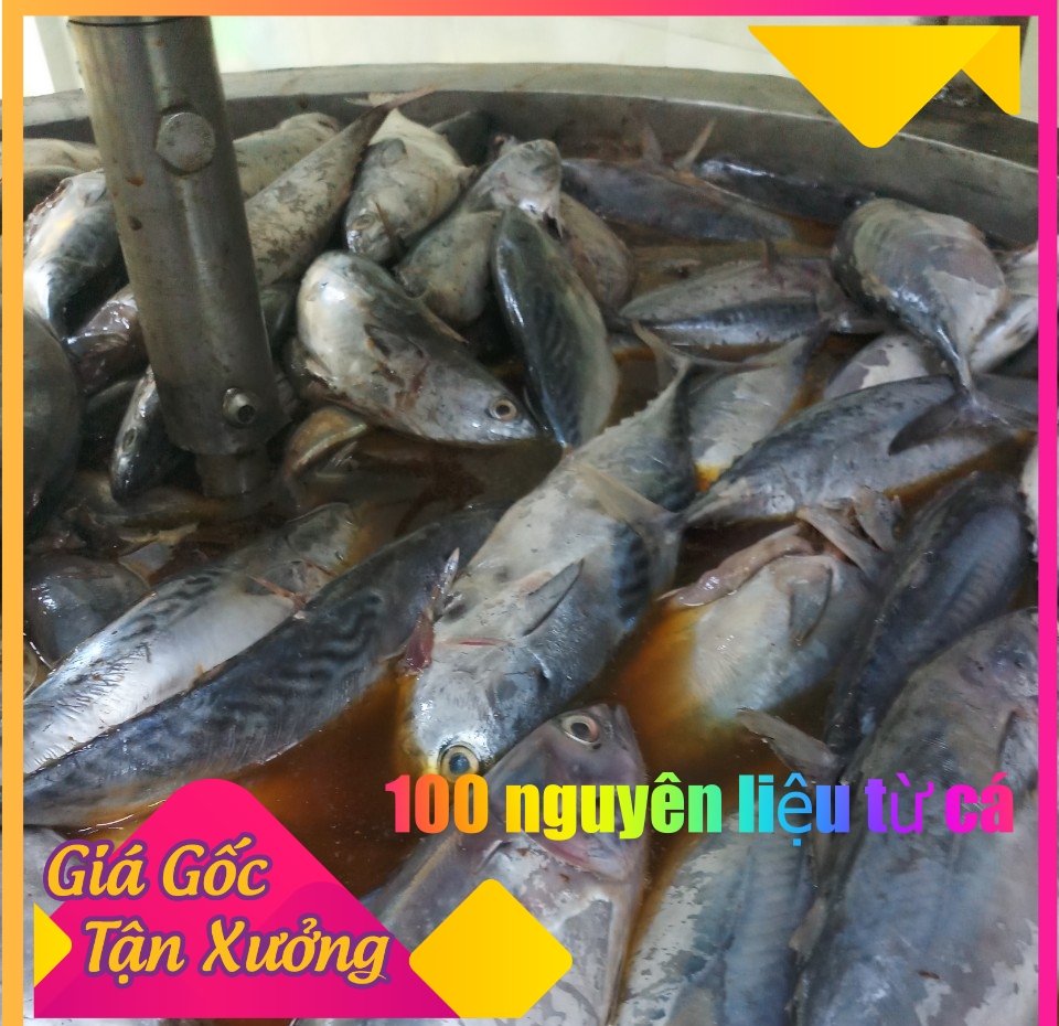 Phân Cá Hữu Cơ, Đạm Cá Hữu Cơ, Thái Thị Chai 1 Lít