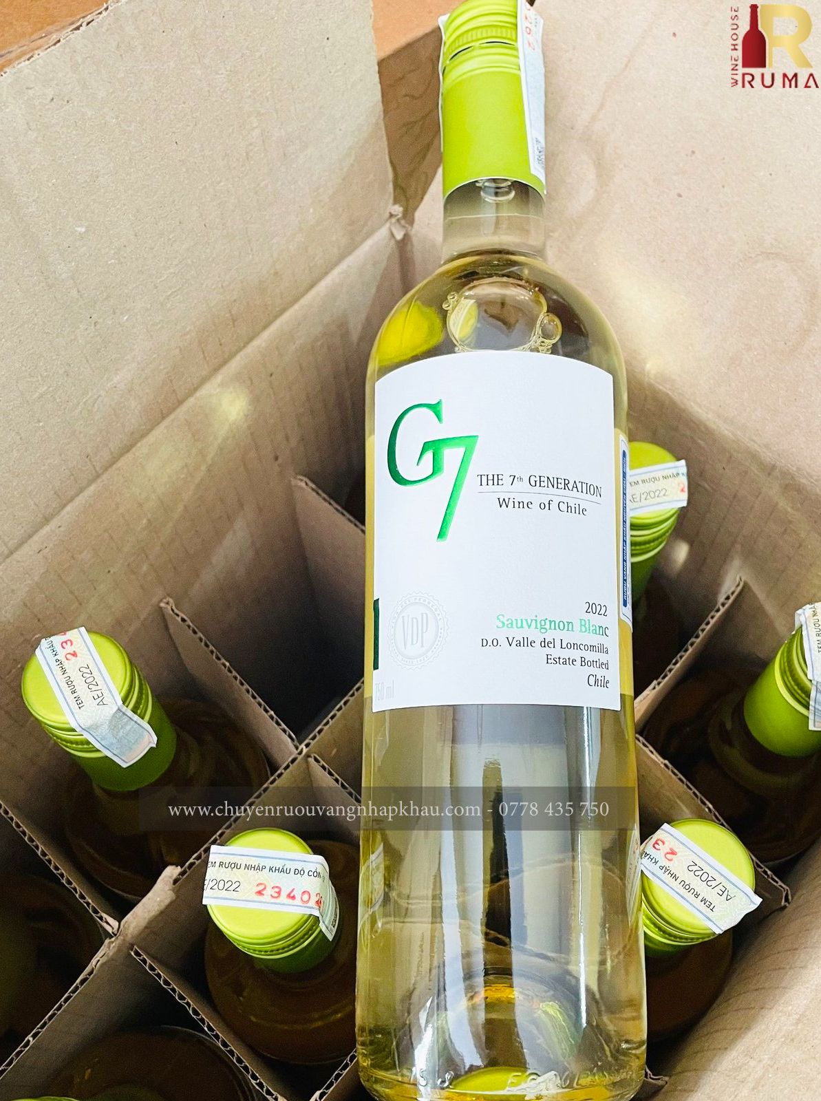 Vang Chile G7 Sauvignon Blanc 750 ml - vang trắng