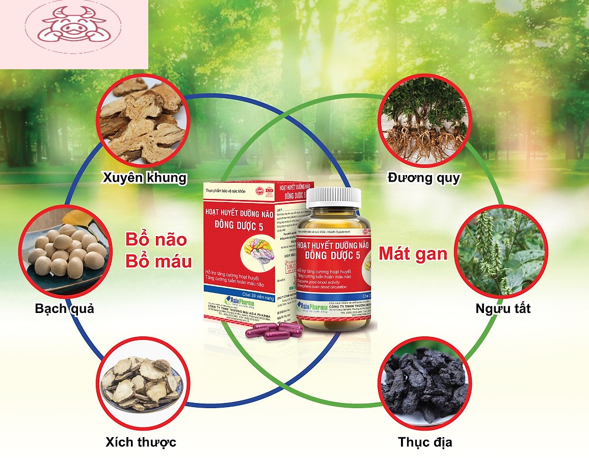 [HCM]Hoạt Huyết Dưỡng Não Đông Dược 5 ( Hộp 30 viên)