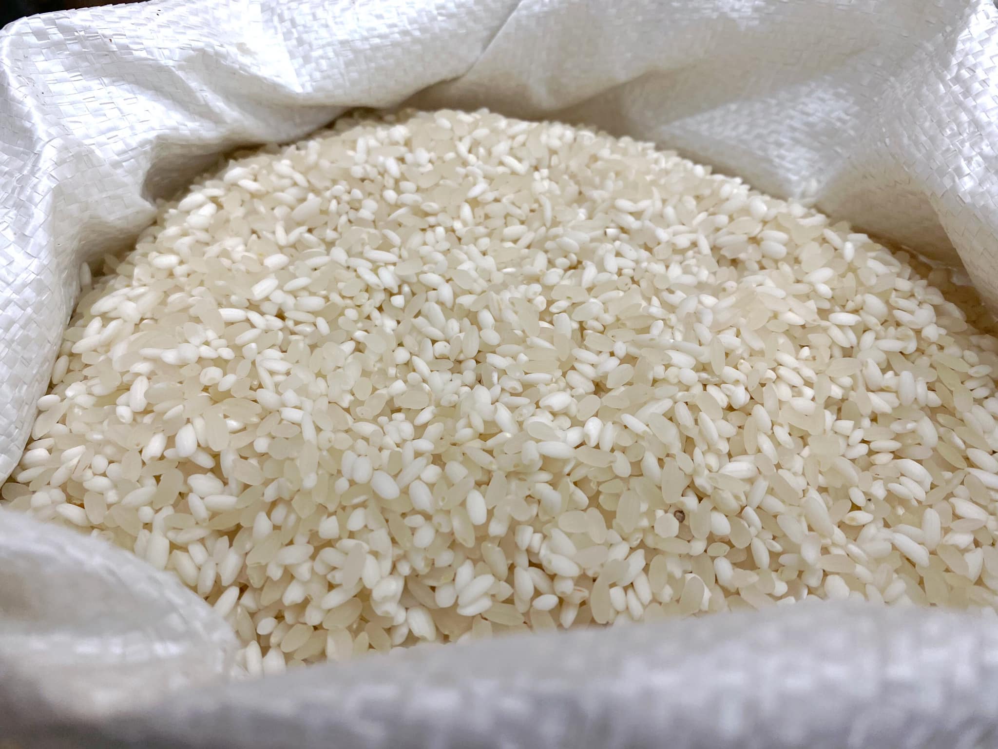 Gạo nếp Tú Lệ đặc sản Tây Bắc