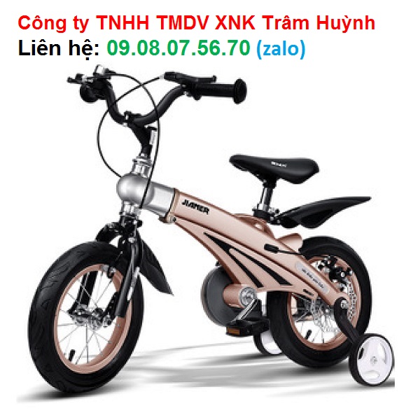 Xe đạp trẻ em Jianer S1 (4 màu) 12 inch