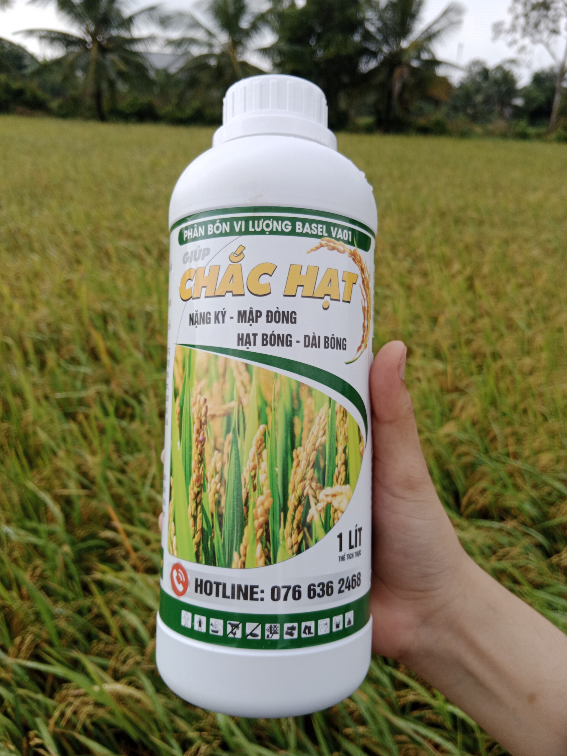 Phân bón Chắc hạt chuyên lúa