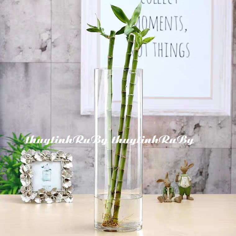 Bình Bông Thủy Tinh Trang Trí Cao 30cm, Bình Cắm Hoa Thủy Tinh Trụ, Lọ Hoa Hình Trụ, Trụ đổ đèn cầy, ống trụ tròn thủy tinh