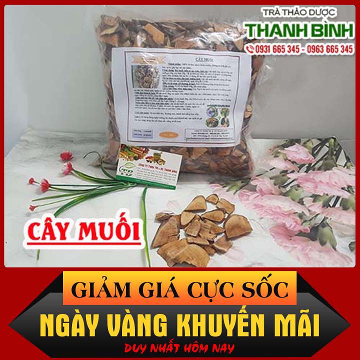 Cây muối khô 1kg - hàng công ty loại 1