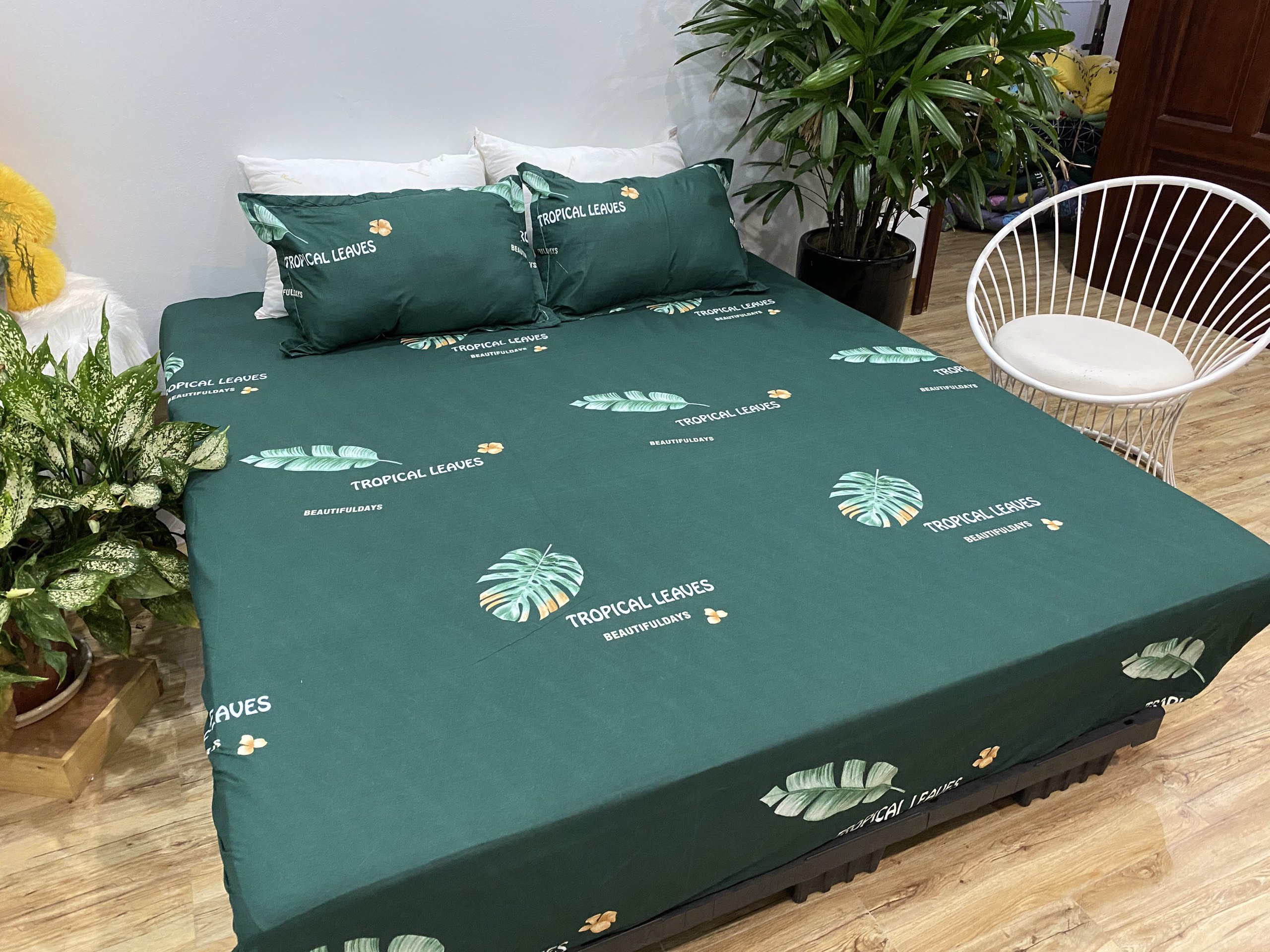 Bộ Ga Gối 3 Món ( Gồm 1 Ga Bo Chun + 2 Vỏ Gối) Mã CH219