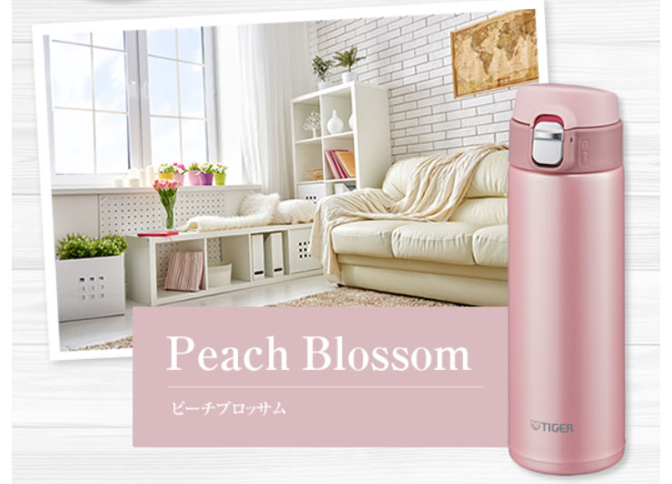 Bình Giữ nhiệt Tiger nắp bật MMJ-A601 (600ml)