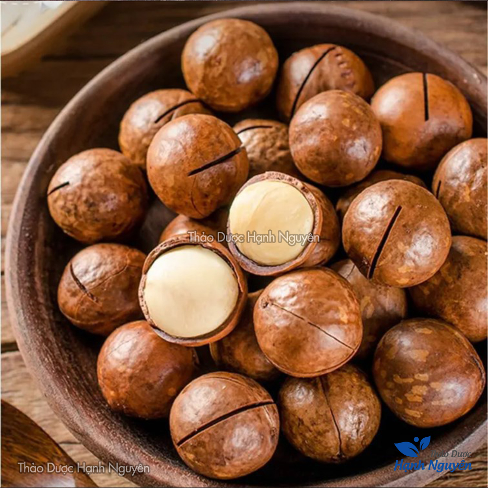 Hạt mắc ca 500g ( Hạt dinh dưỡng thơm ngon, dùng ăn vặt, làm sữa hạt) - Thảo Dược Hạnh Nguyên