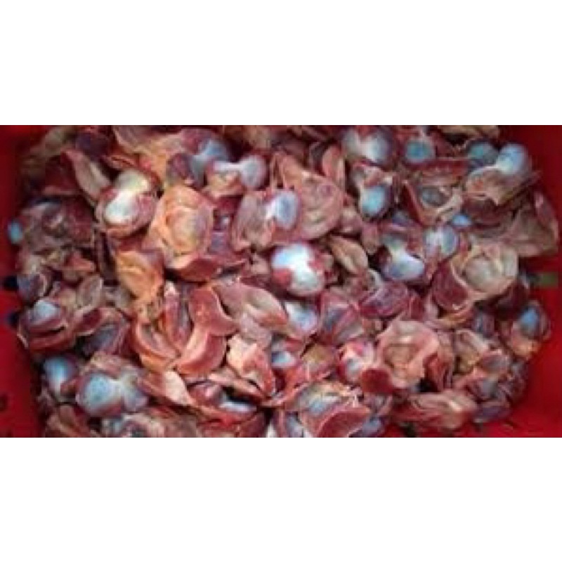 Mề gà - bịch 1kg (giao tphcm)