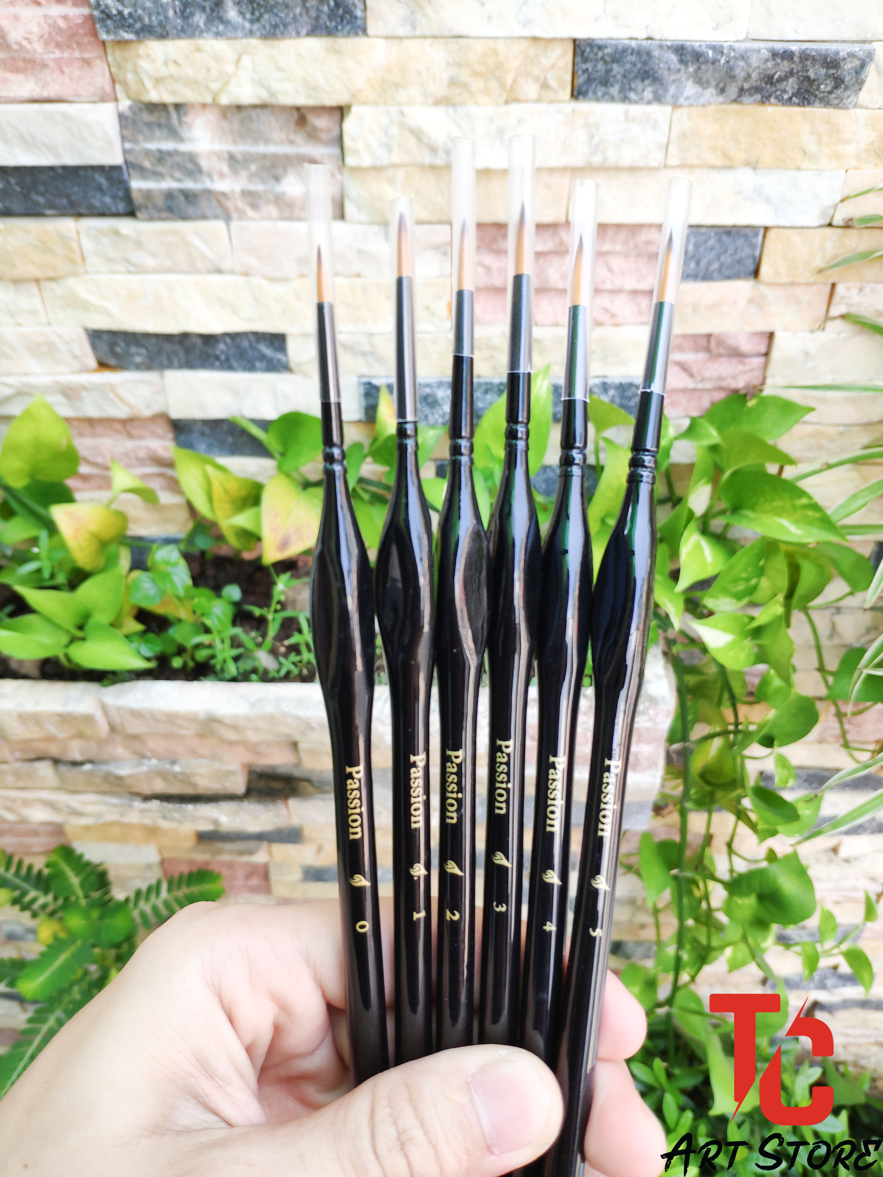 [TC Art Store] CỌ PASSION ARTIST BRUSH