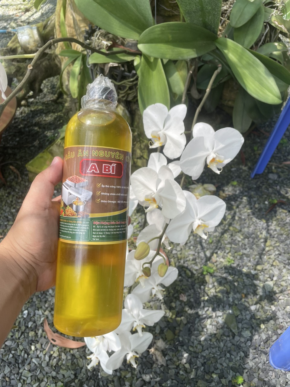 Dầu đậu phộng ép lạnh A Bí (1lít)