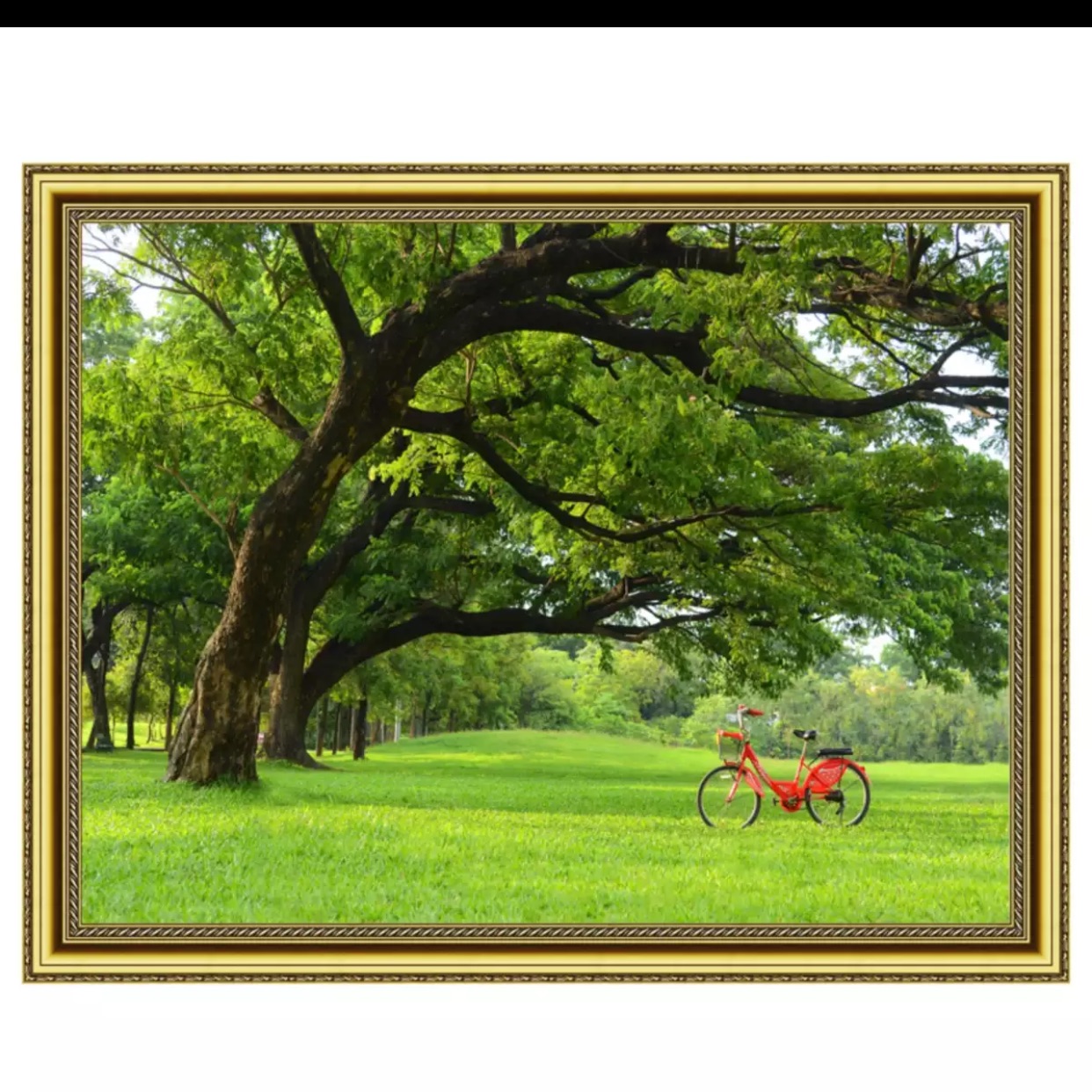 Tranh dán tường phong cảnh 110x90 cm