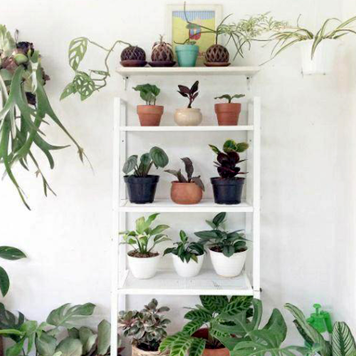 [HCM] KỆ IKEA CHÍNH HÃNG – LERBERG (60cm)