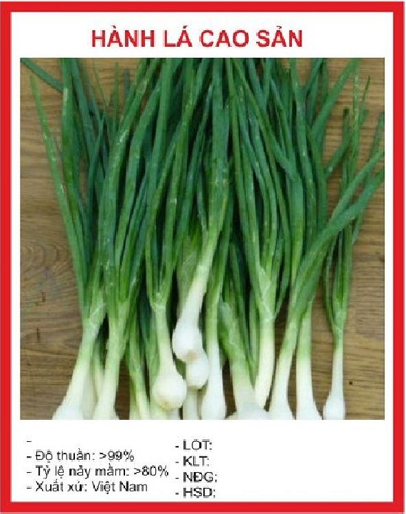 Hạt giống Hành hương cao sản F1 - 1 gói 2 gr