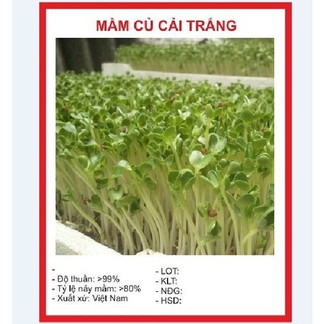 Hạt giống Mầm củ cải trắng – Gói 50gram