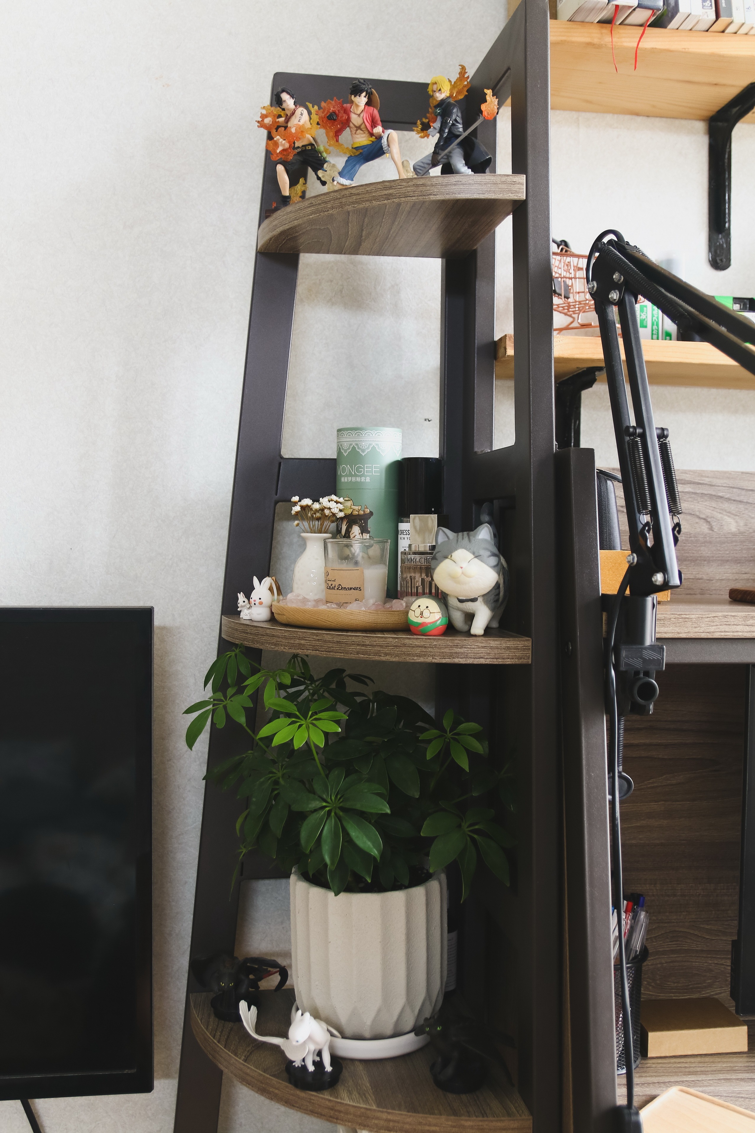 Kệ góc - Kệ sách đứng Mipu SIENG - Màu Grey Walnut
