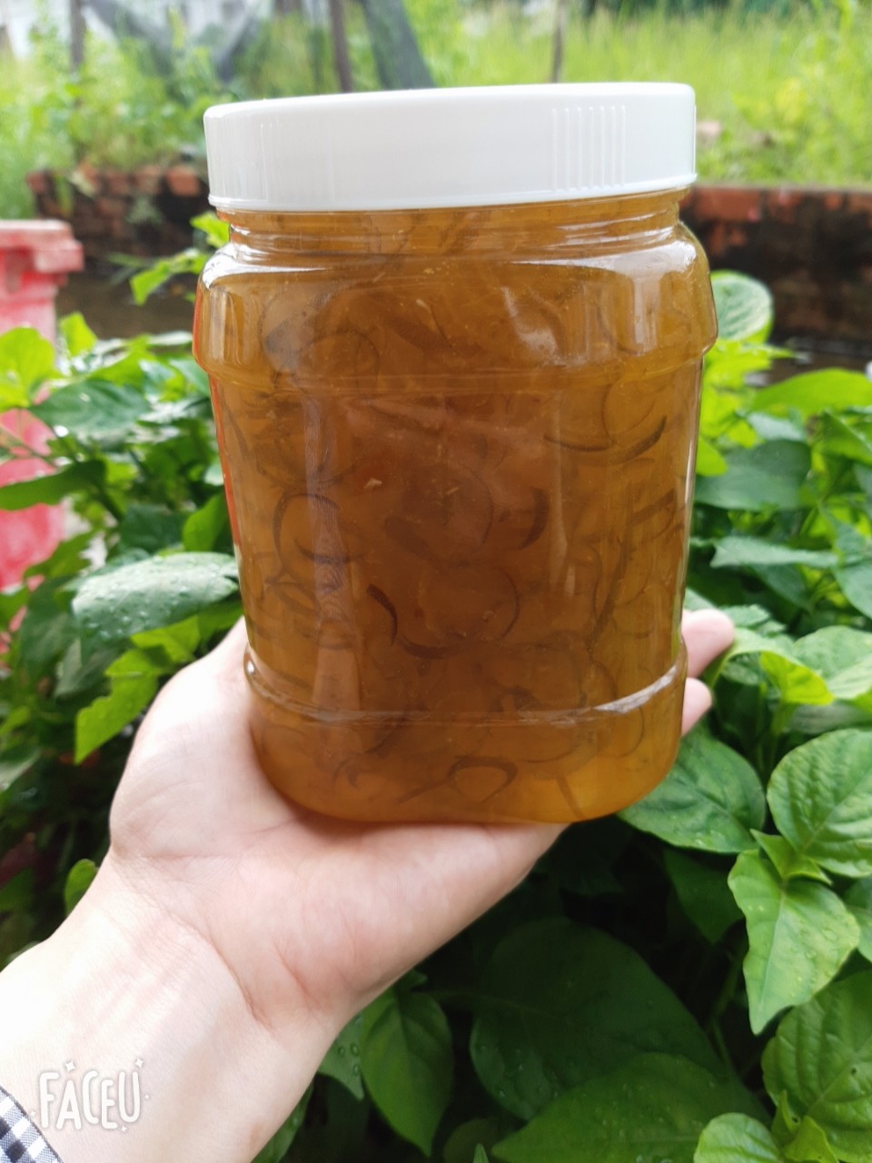 Tắc xí muội nhà làm, keo 1kg