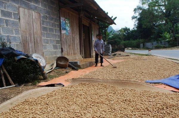 Bạt che mưa nắng khổ 4mx3m