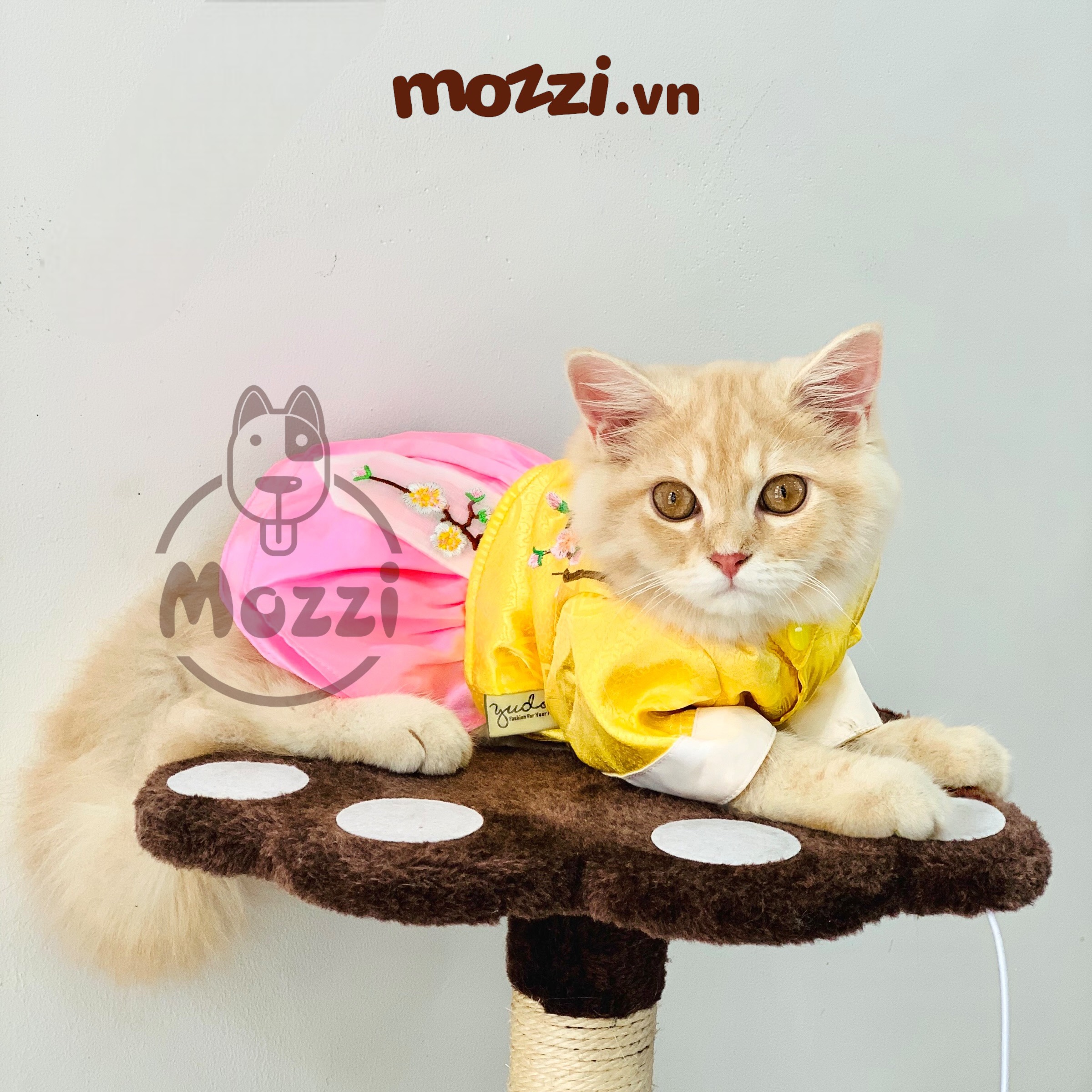 Đầm Hanbok Hàn Quốc cho chó mèo