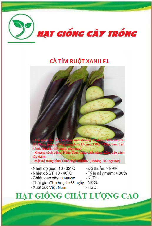 Hạt giống cà tím ruột xanh f1 ct269 - gói 1gram