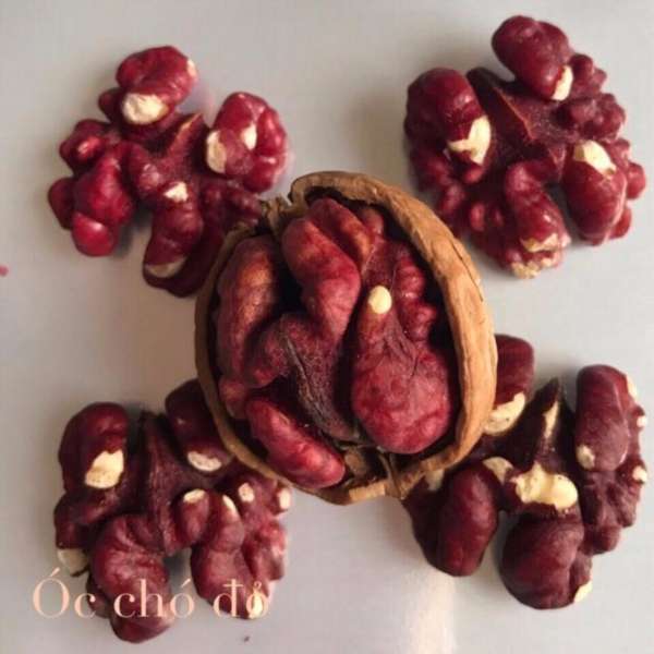 [HCM]Qủa óc chó đỏ cao cấp 500g