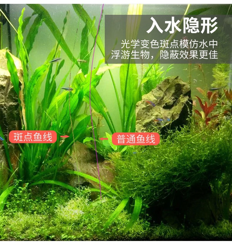 Dây Cước Câu Cá D-Fish Nhật, Cước Sịn